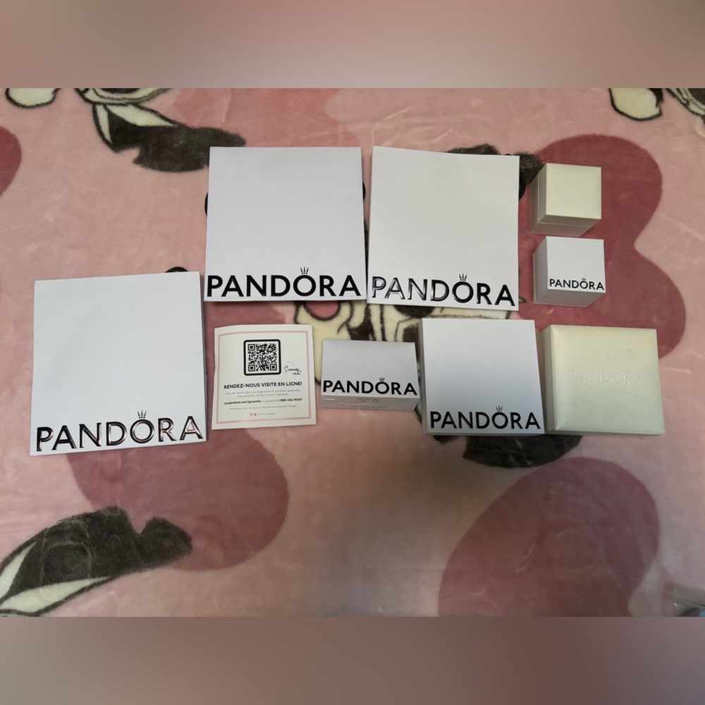 Pandora Packaging Bundle - image 1